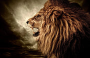 LION HEAD GLASS ART