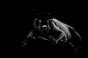BLACK PANTHER GLASS WALL ART