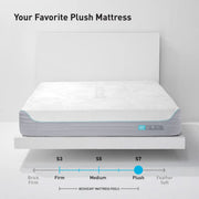 BEDGEAR S7 Performance Plush Mattress