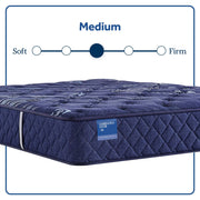 Carrington Chase - Travelers Rest Medium Tight Top Mattress