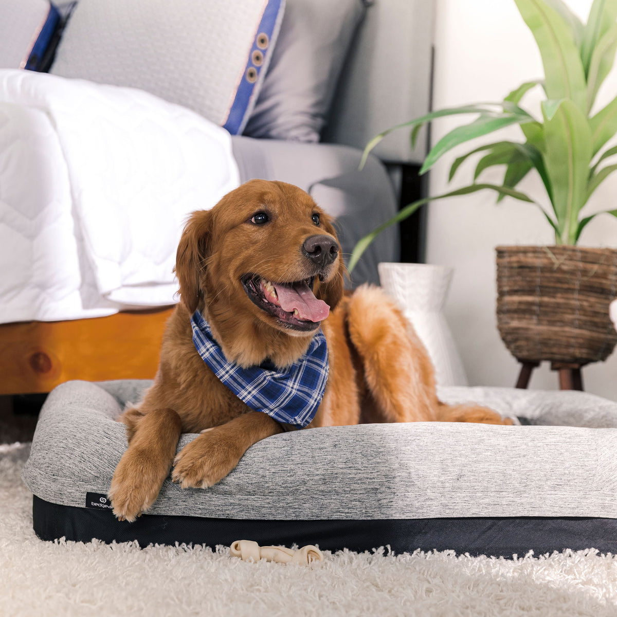 Performance - Small Dog Bed - Gray