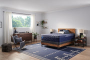 Carrington Chase - Travelers Rest Soft Mattress
