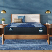 iComfort - 14" Aspire Memory Foam Plush Mattress