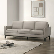 Aaron - Sofa - Mist Gray