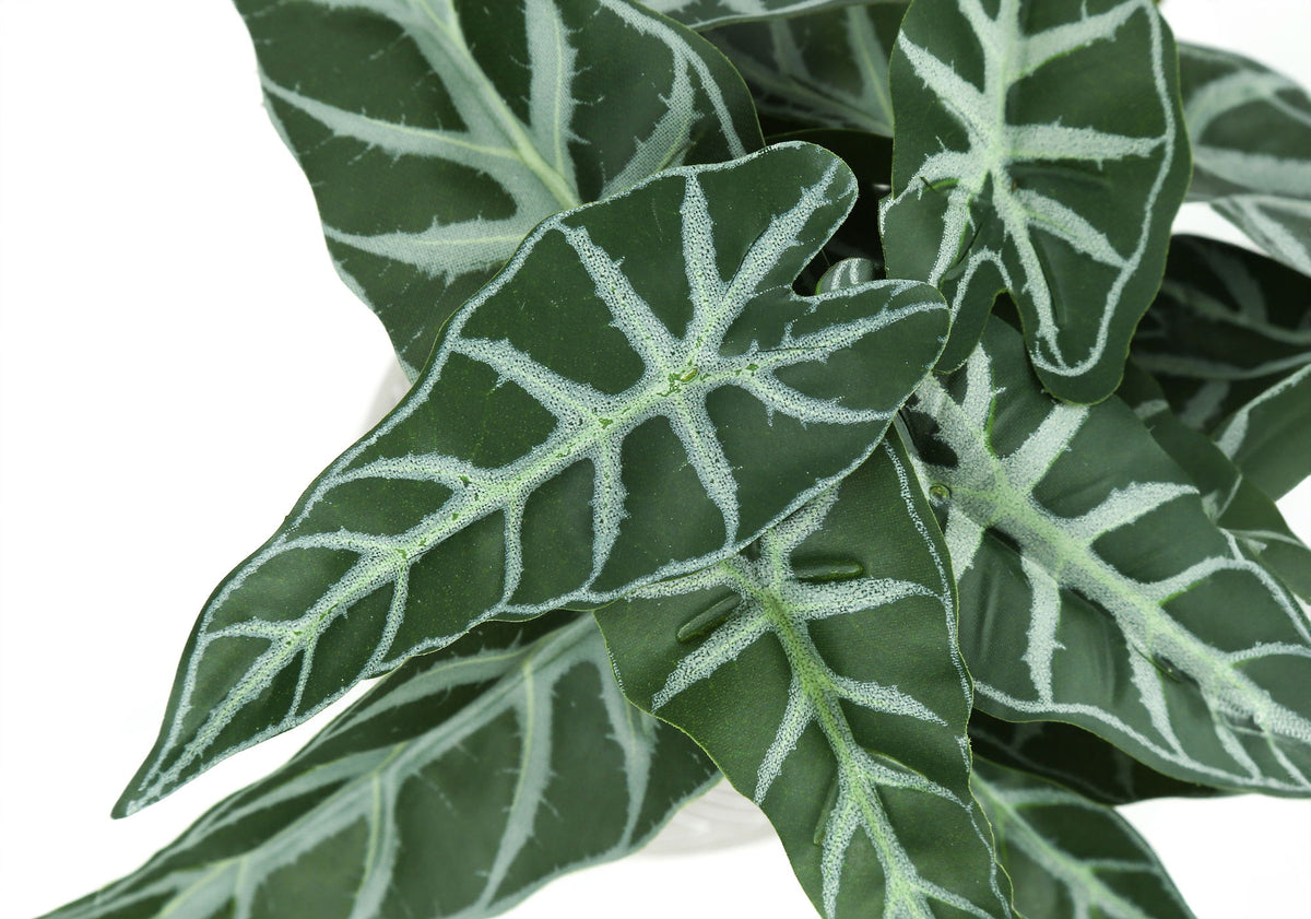 Artificial Alocasia Plant (Set of 2)