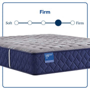 Carrington Chase - Midnight Cove Firm Tight Top Mattress