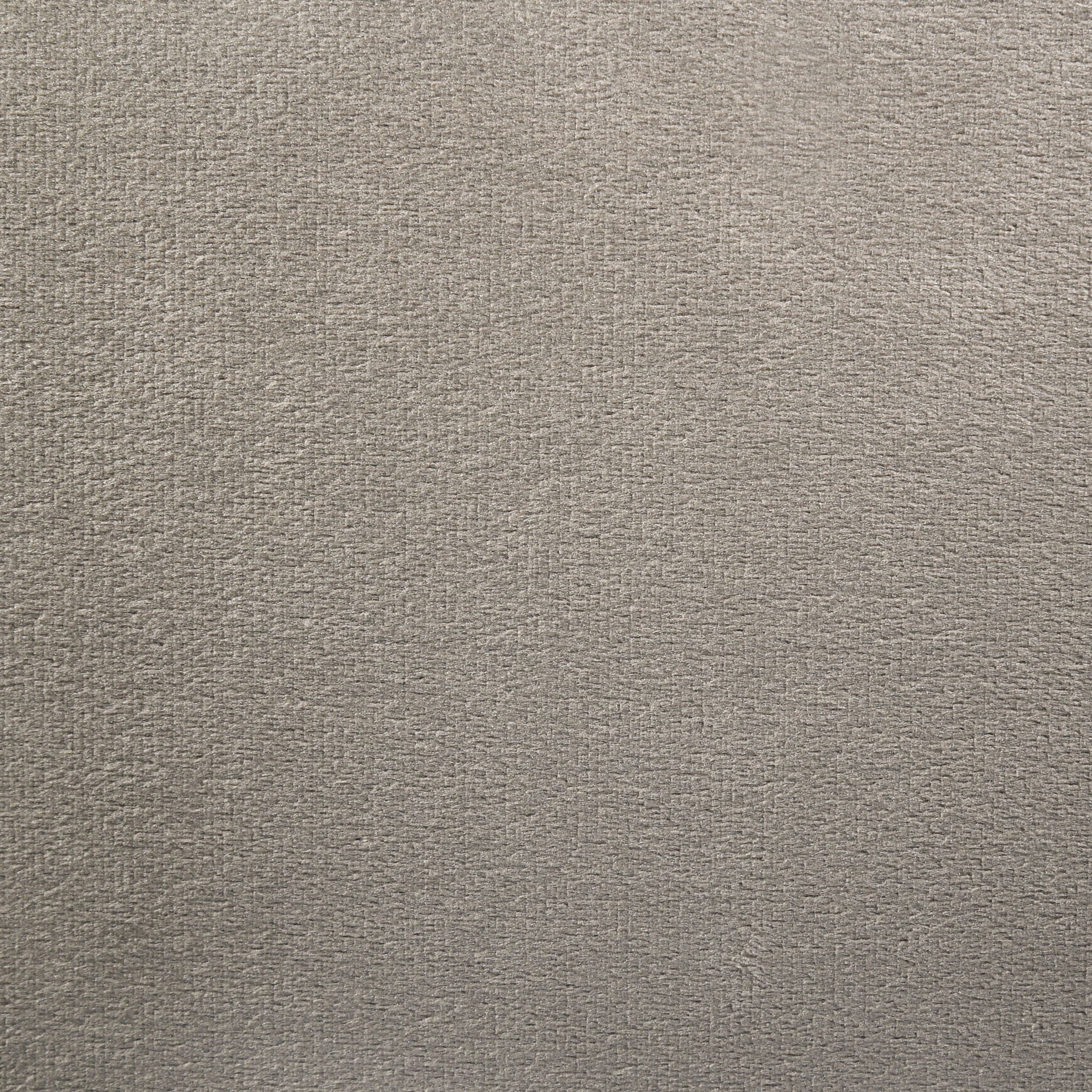 Marley Upholstered Queen Wall Panel Bed Light Brown