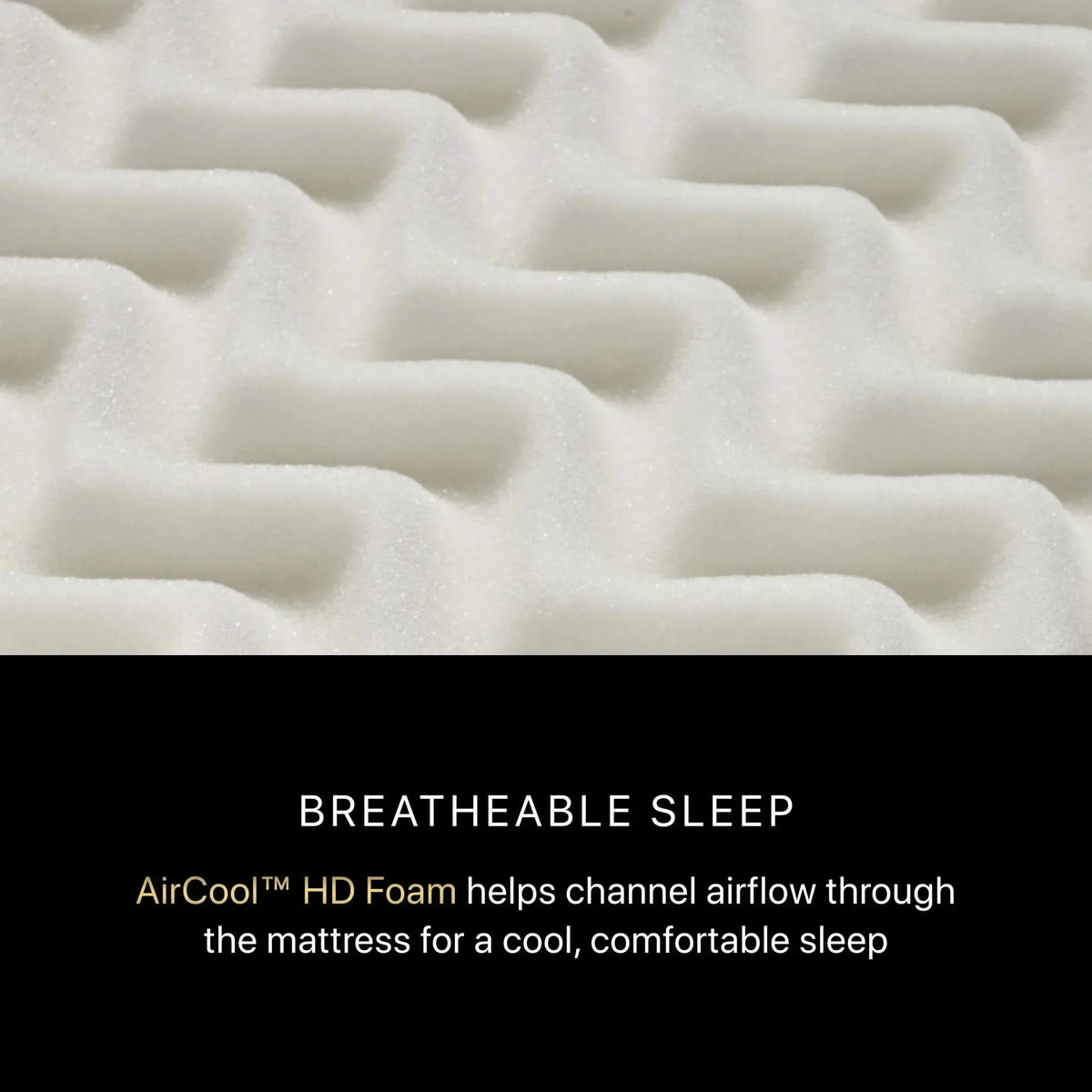 Beautyrest Black® Series One Plush