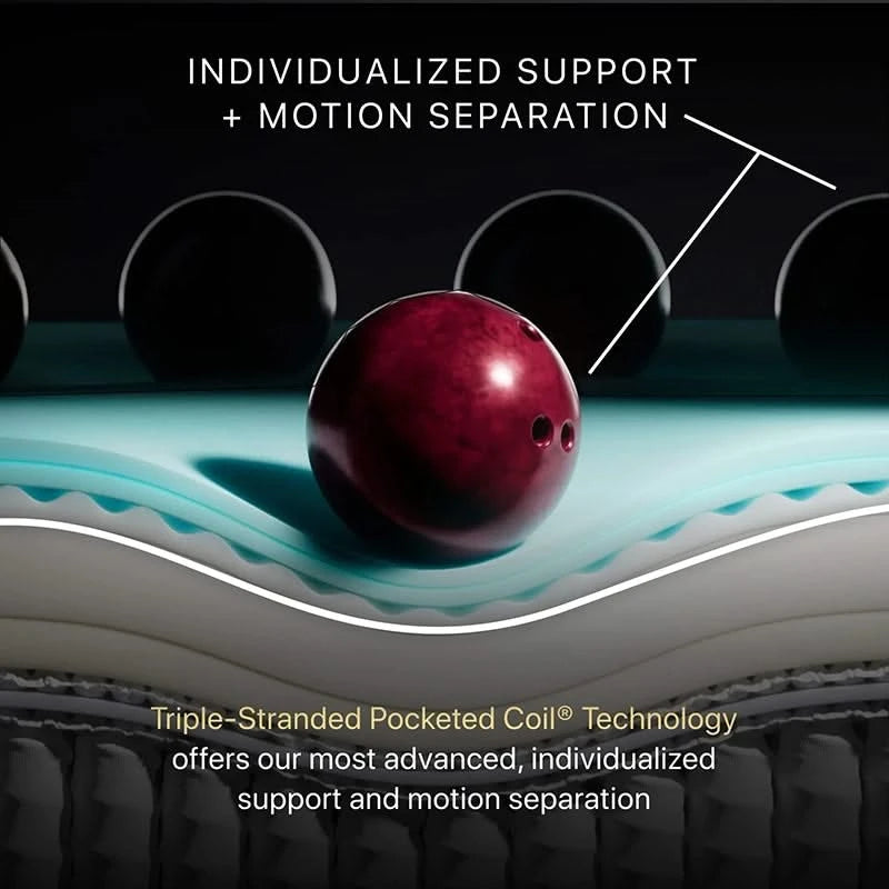 Beautyrest Black® Hybrid Series Four Plush Apex Top