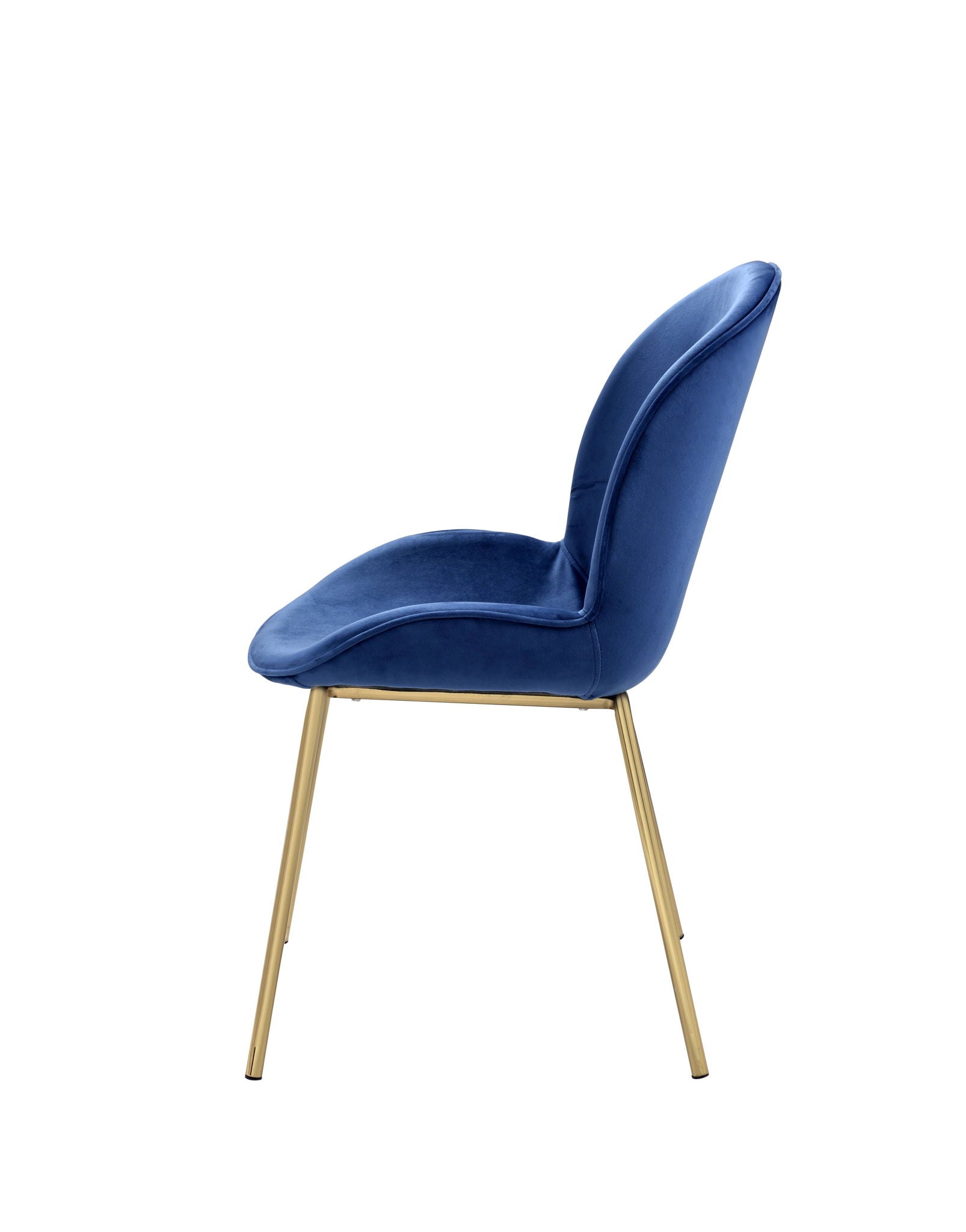Chuchip - Side Chair (Set of 2) - Blue / Gold