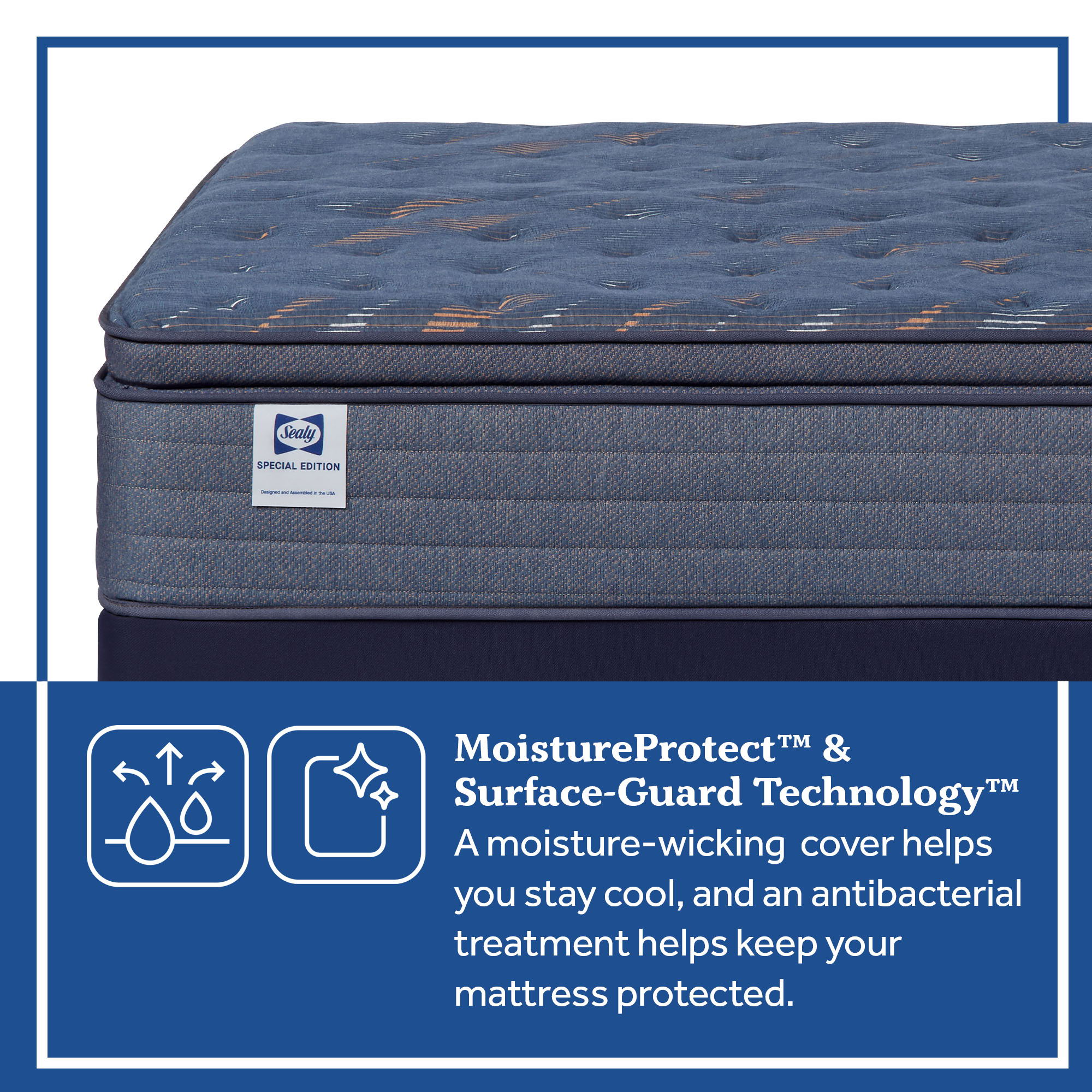 Special Edition - Warner Euro Pillow Top Soft