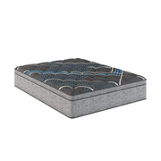 Comfort Care - 15" Euro Top Hybrid Mattress, Plush Comfort