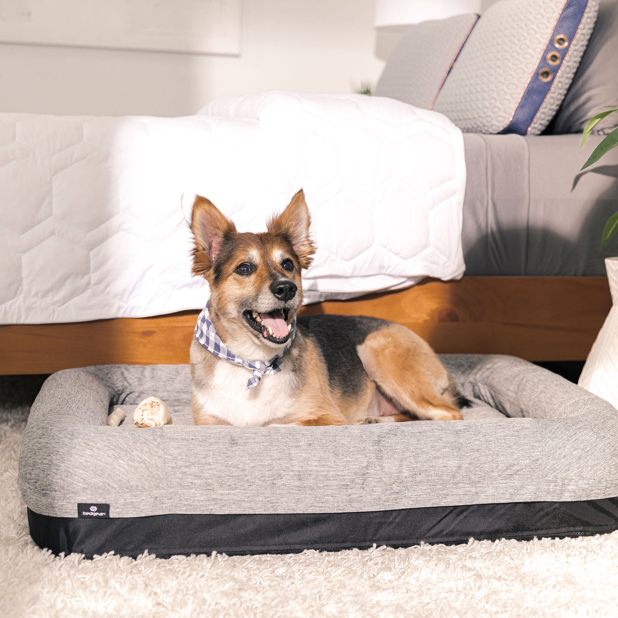Performance - Small Dog Bed - Gray