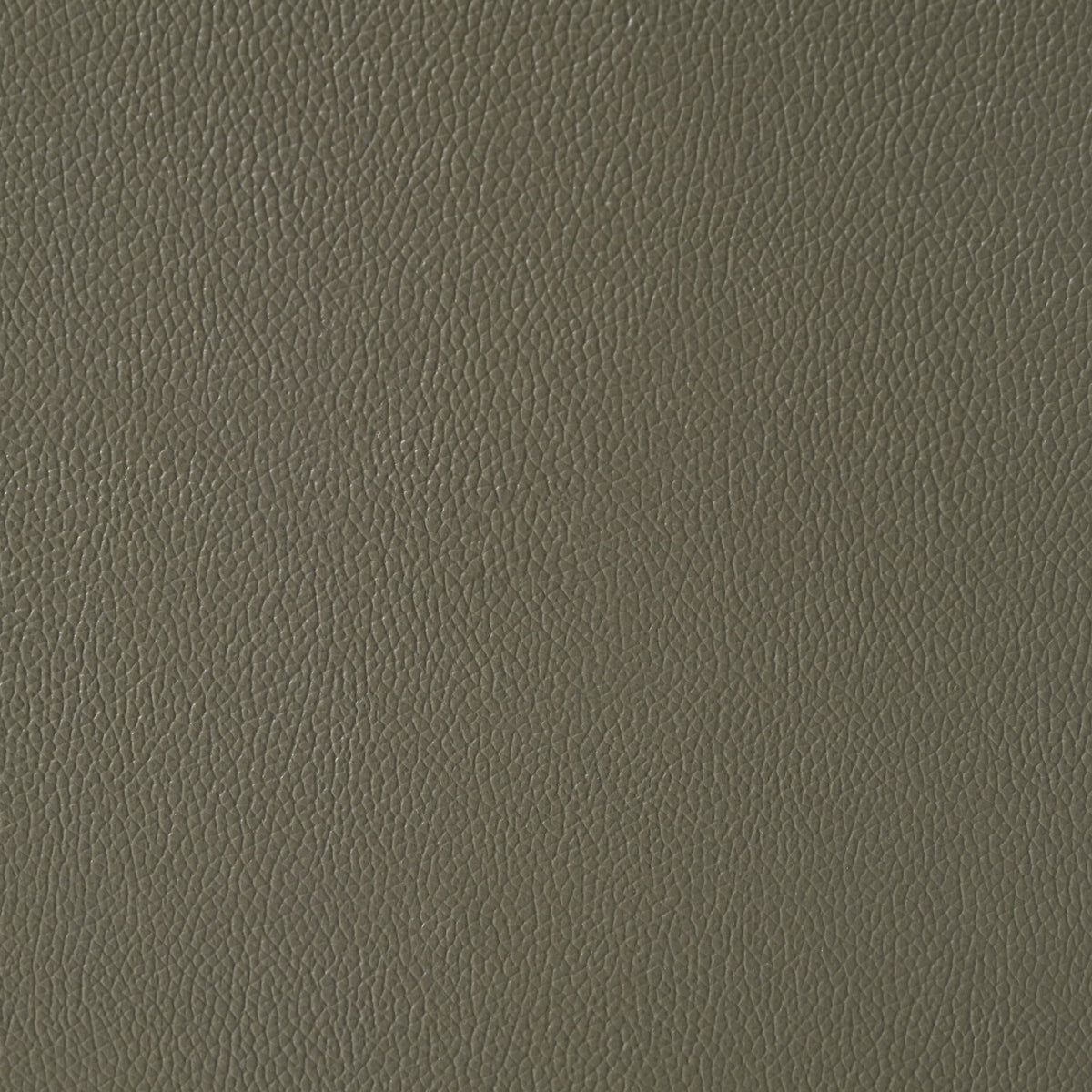 Wildcat - Motion Loveseat - Gray