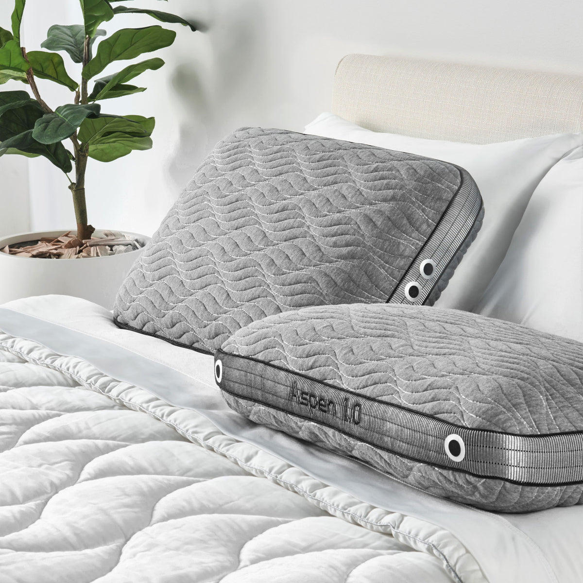 Aspen Performance - Standard Pillow