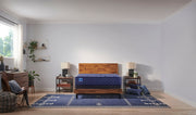 Carrington Chase - Travelers Rest Soft Tight Top Mattress