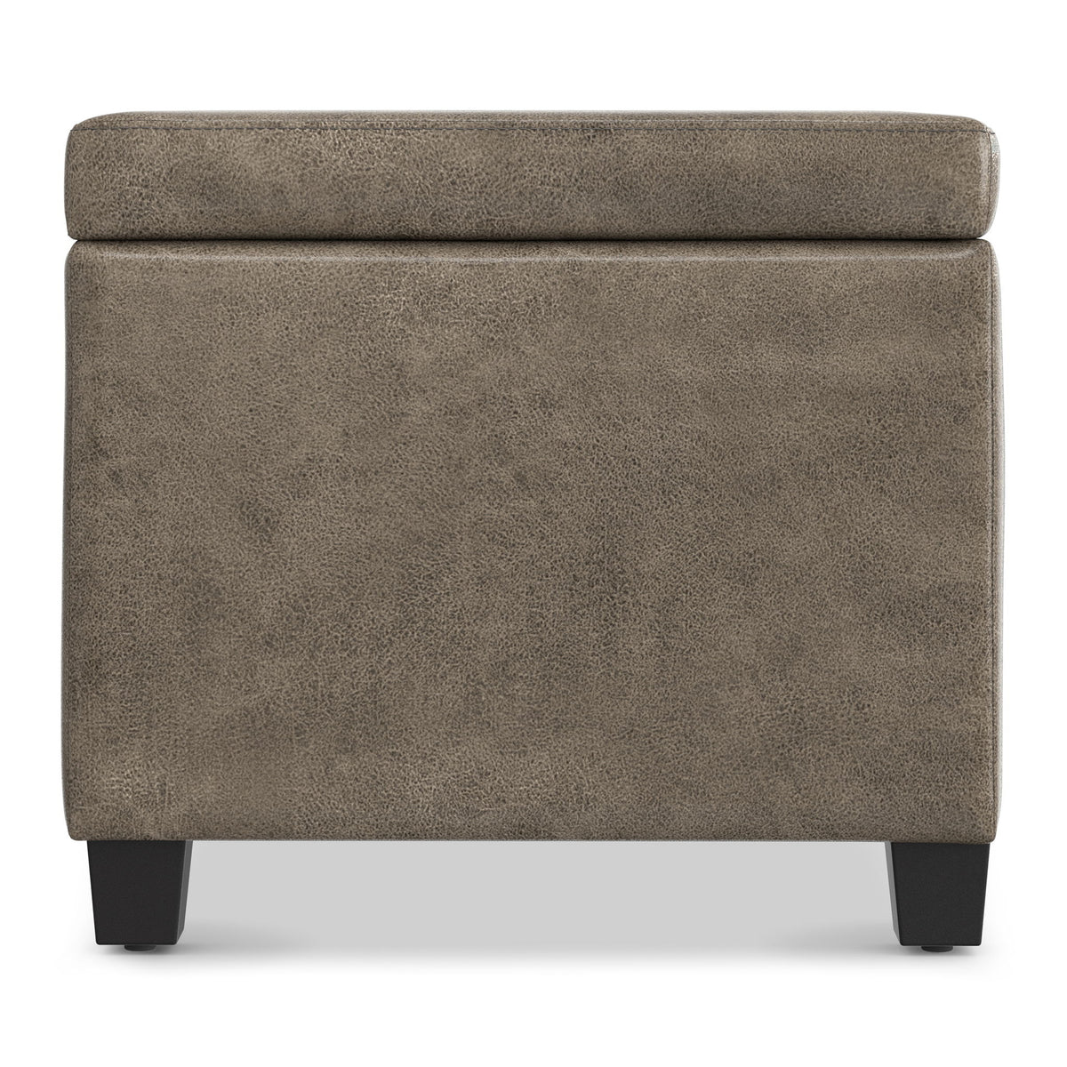 Avalon - Contemporary Storage Ottoman Bench