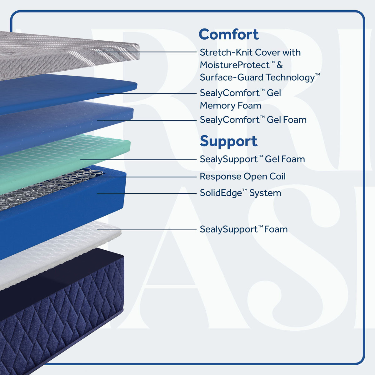 Carrington Chase - Midnight Cove Medium Hybrid Mattress