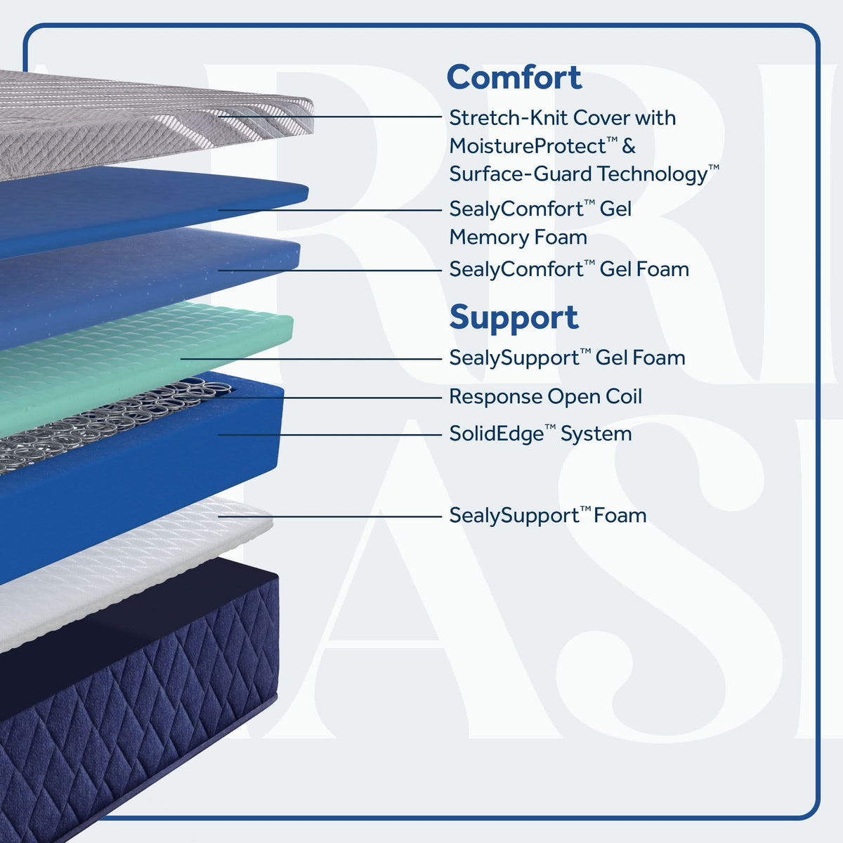 Carrington Chase - Midnight Cove Medium Mattress - Split California King