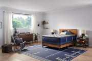 Carrington Chase - Midnight Cove Soft Euro Pillow Top Mattress