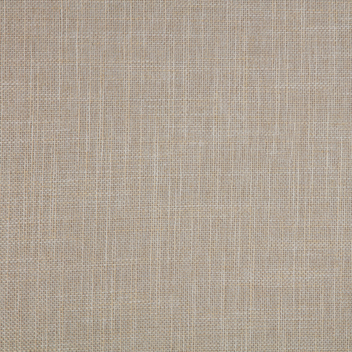 Bexhill 56-inch Upholstered California King Panel Bed White