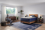 Carrington Chase - Pacific Rest Soft Euro Pillow Top Mattress