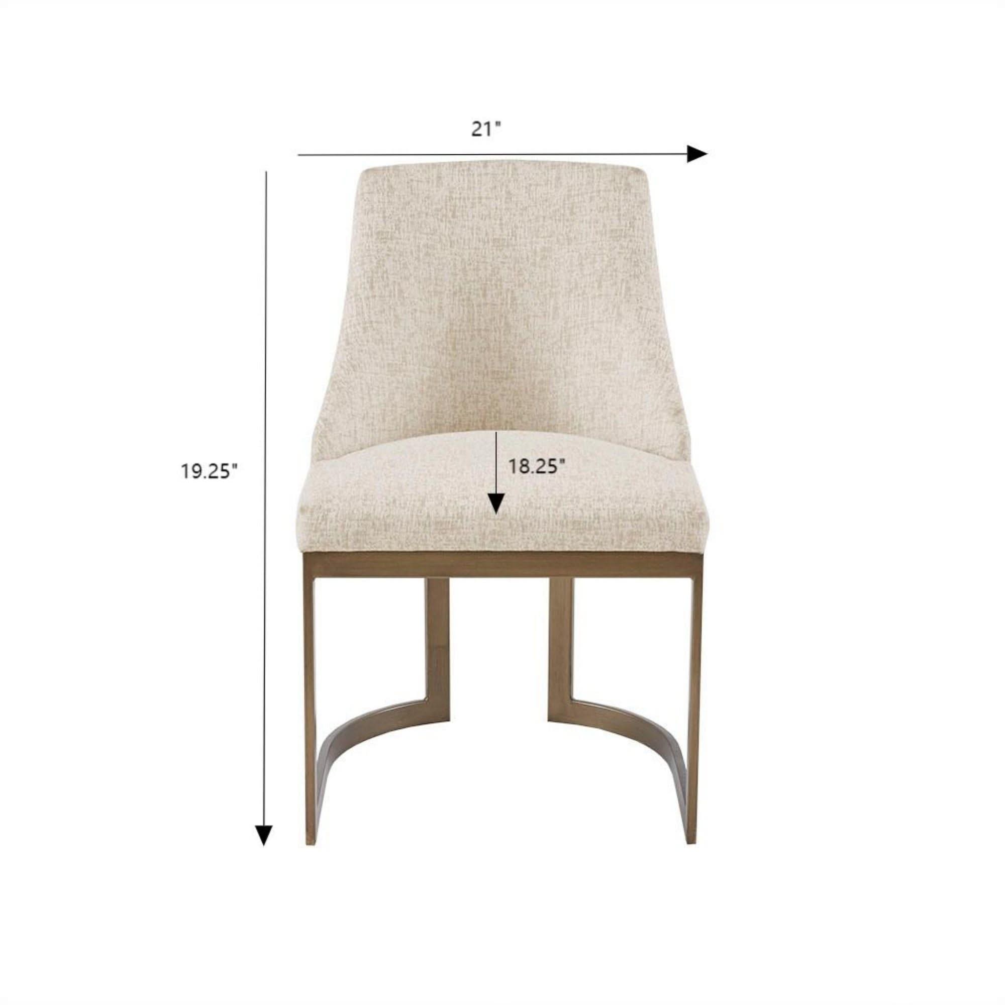 Contemporary Modern Accent Dining Chairs (Set of 2)