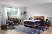 Carrington Chase - Murry Hill Soft Tight Top Mattress