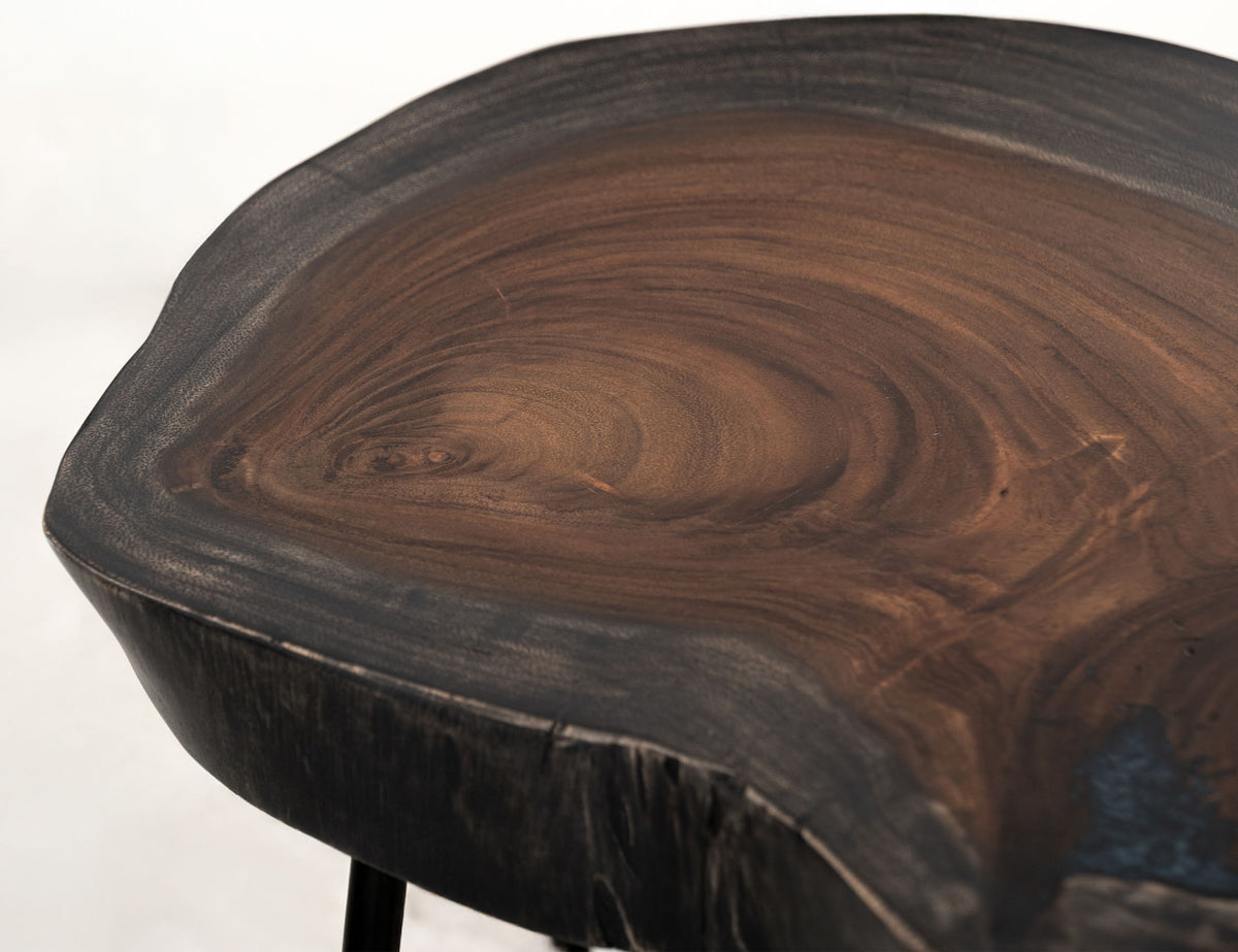 Parota - Wooden Table