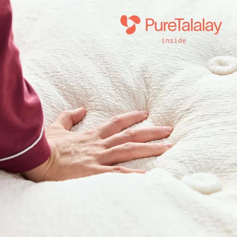 Avocado Green Plush 15.5" Box Top Innerspring Mattress Organic Cotton Latex