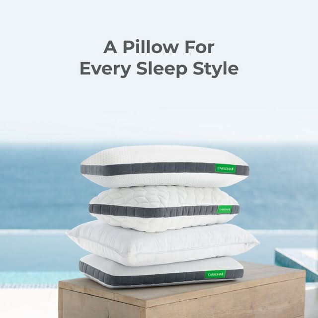 Luxury Bamboo Goose Down Pillow