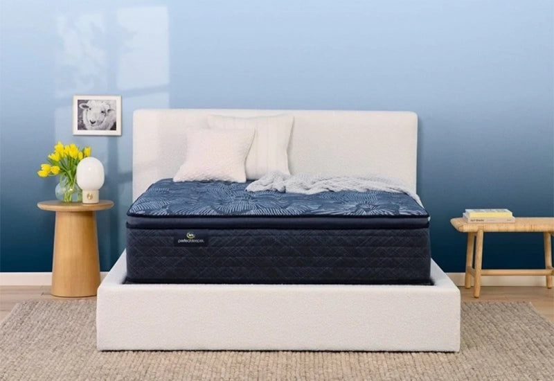 Mattresses By Comfort