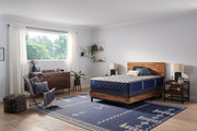 Carrington Chase - Midnight Cove Soft Tight Top Mattress