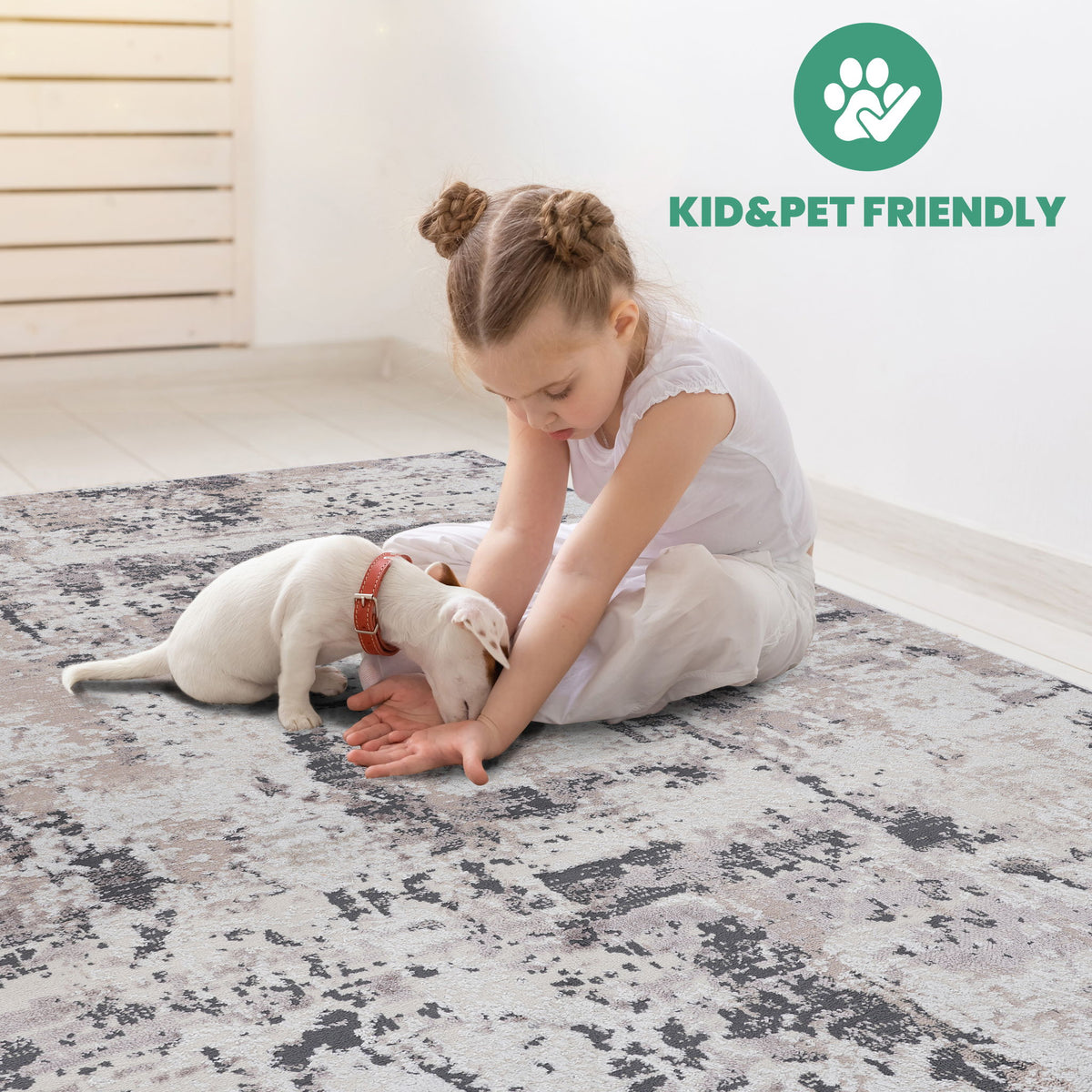 Payas - Abstract Area Rug