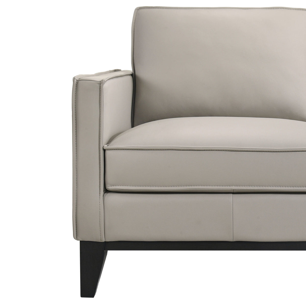 Aaron - Loveseat - Mist Gray