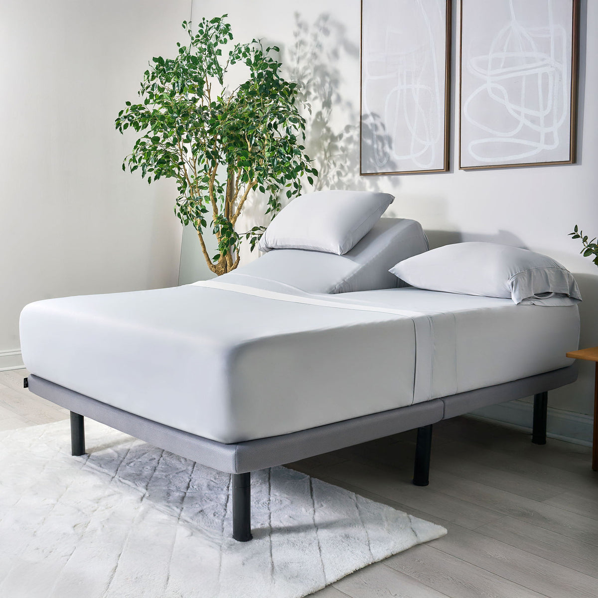 Ver-Tex - Sheet Set