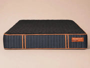 Dream Master CU Sleep XF 13 Inch Tight Top Mattress