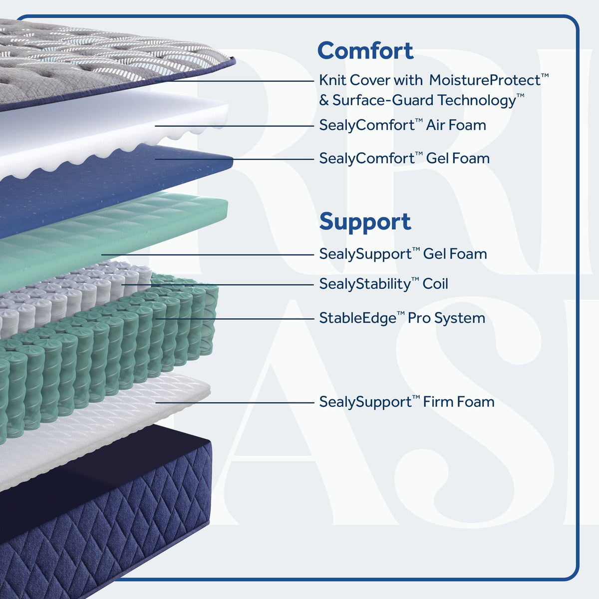 Carrington Chase - Midnight Cove Soft Tight Top Mattress