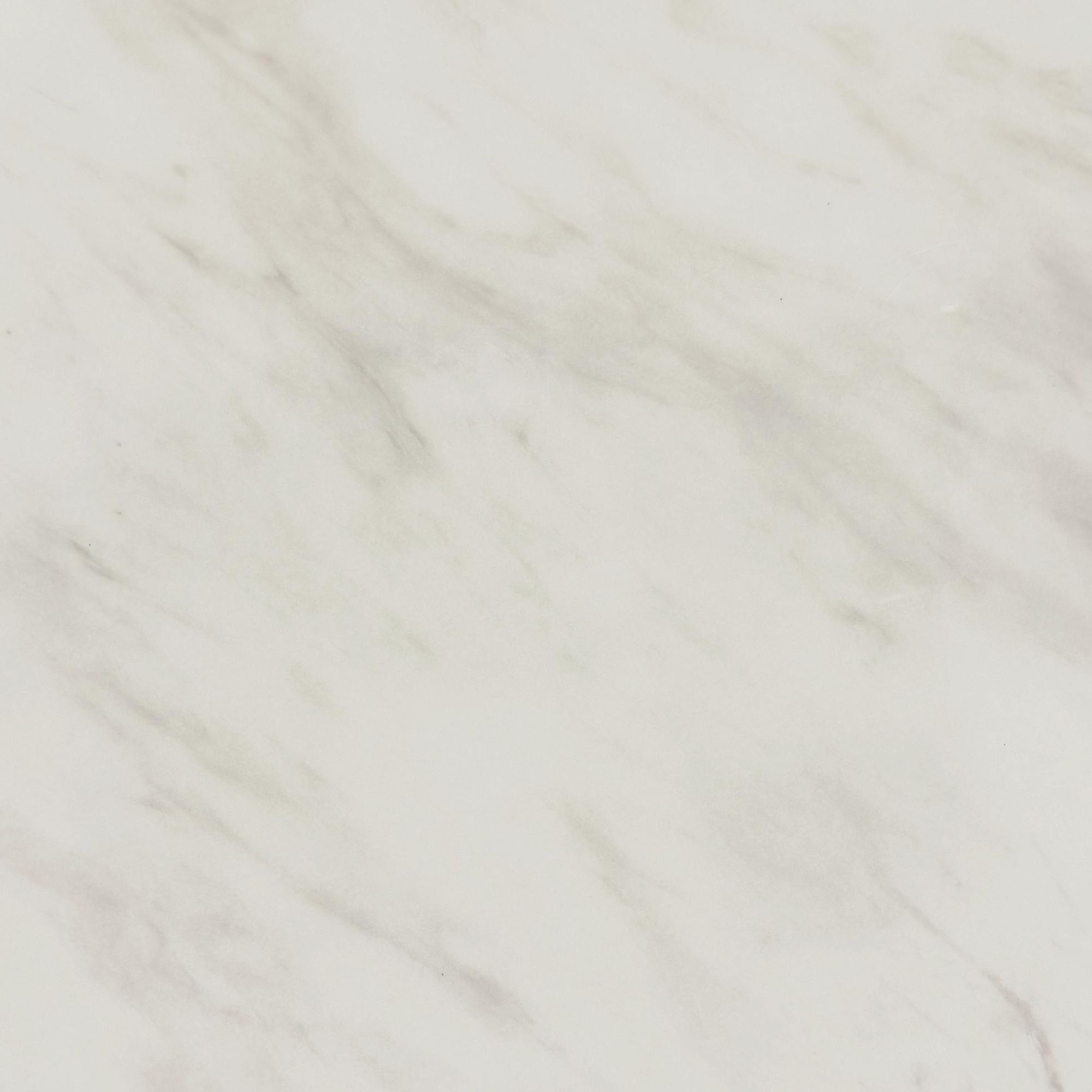 Sylvie - Round Table