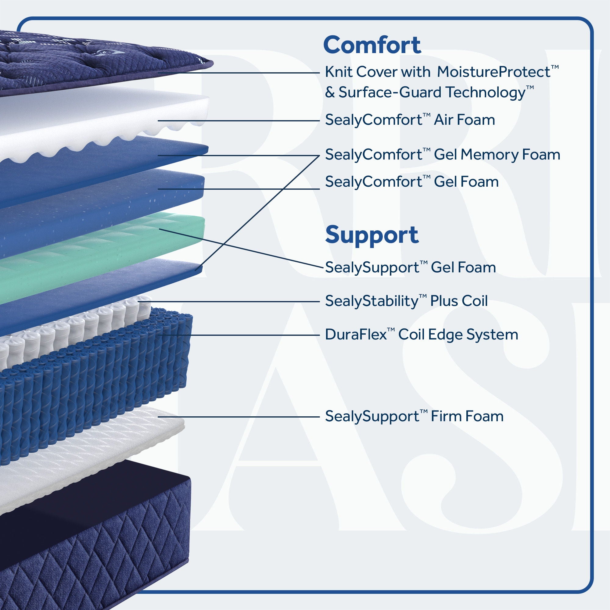 Carrington Chase - Travelers Rest Medium Tight Top Mattress