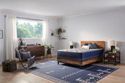 Carrington Chase - Pacific Rest Soft Tight Top Mattress