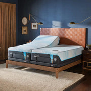 Tempur-Pedic Ergo Power Base