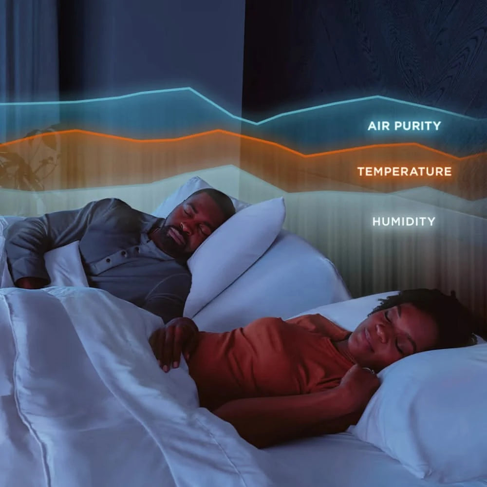Tempur-Pedic Ergo Smart Base